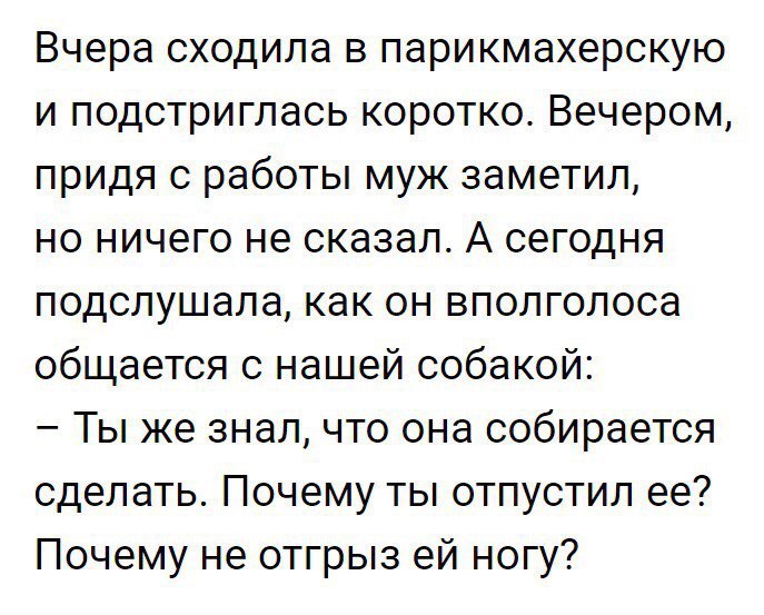 Вчера сходила в парикмахерскую и подстриглась коротко Вечером придя с работы муж заметил но ничего не сказал А сегодня подслушала как он вполголоса общается с нашей собакой Ты же знал что она собирается сделать Почему ты отпустил ее Почему не отгрыз ей ногу