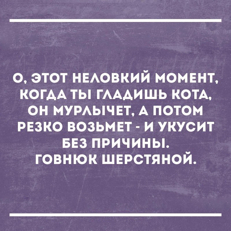 о этот НЕАОВКИЙ момвнт КОГАА ты ГАААИШЬ КОТА он мумычвт А потом рвзко возьмвт и укусит ввз причины говнюк шврстяной