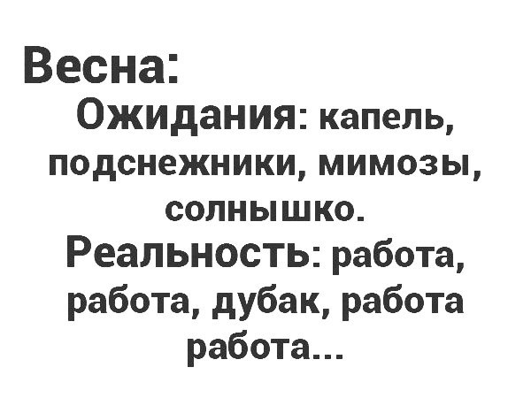 Весна Ожидания капель подснежники мимозы солнышко Реальность работа работа дубак работа работа