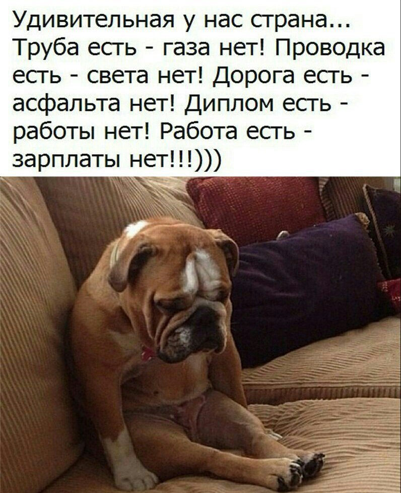 Удивительная у нас страна Труба есть газа нет Проводка есть света нет Дорога есгь асфальта нет Диплом есть работы нет Работа есть зарплаты нет