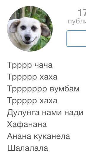 Трррр чача Тррррр хаха ТРРРРРРР вумбам Тррррр хаха Дупунга нами нади Хафанана Анана куканепа Шапапапа