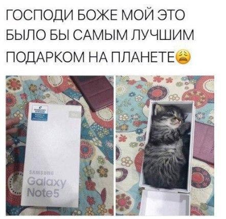 господи БОЖЕ мой это БЫЛО вы САМЫМ лучшим ПОДАРКОМ НА ПЛАНЕТЕЁ