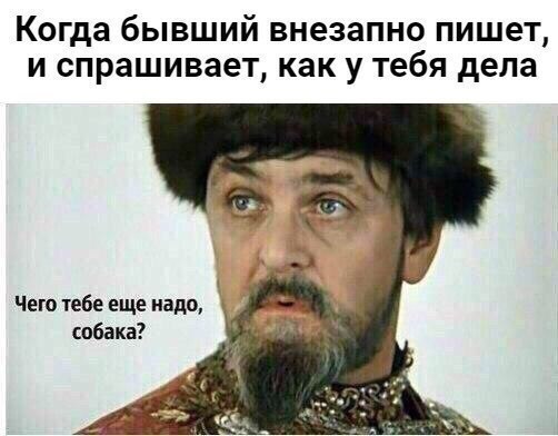 Когда бывший внезапно пишет и спрашивает как у тебя дела Чего тебе еще надо собака