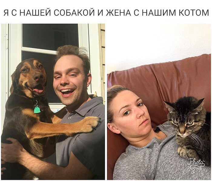я с НАШЕЙ СОБАКОЙ и ЖЕНА с НАШИМ котом