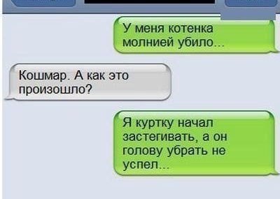 У меня котенка молнией убил Кошмар А как это произошло Я куртку начал застегивать а он голову убрать не успел