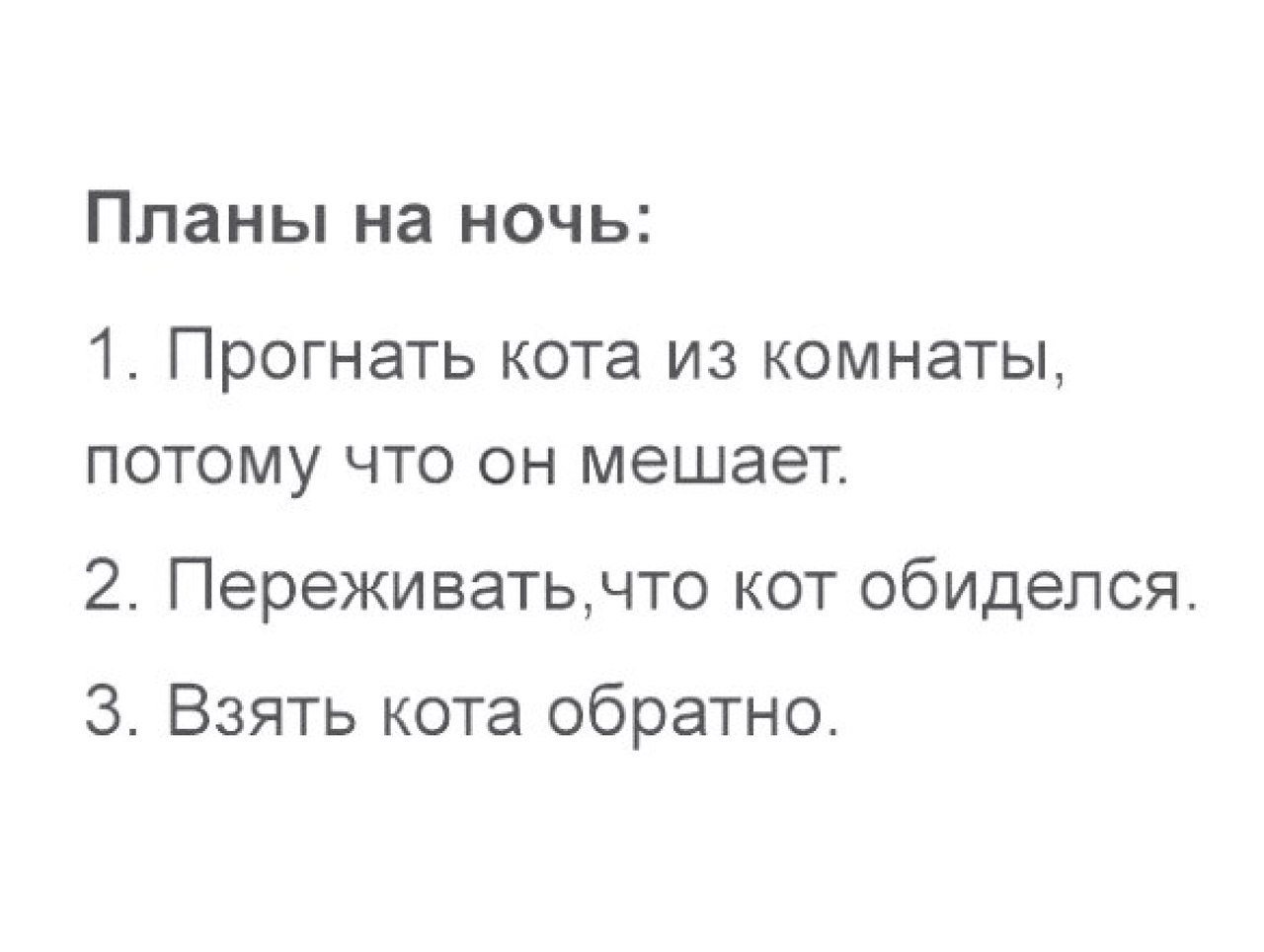 Планы на ночь 1 Прогнать КОТЭ ИЗ КОМНЭТЫ ПОТОМУ ЧТО ОН мешает 2 Переживатьчто кот обиделся 3 Взять кота обратно