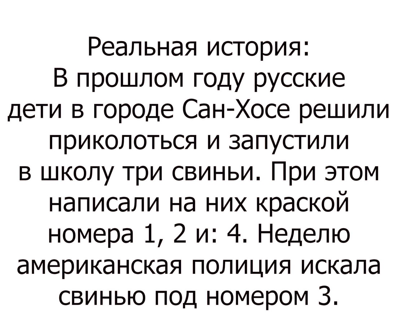 Реальная история В прошлом году русские дети в городе Сан Хосе решили приколоться и запустили в школу три свиньи При этом написали на них краской номера 1 2 и 4 Неделю американская полиция искала свинью под номером 3