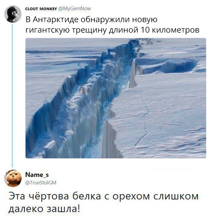 мы МубетМош В Антарктиде обнаружили новую гигантскую трещину длиной 10 километров Мате тшеэююм Эта чёртова белка с орехом слишком далеко зашла