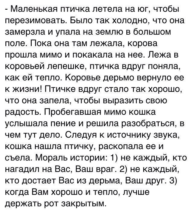 Маленькая птичка летела на юг чтобы перезимовать Было так холодно что она замерзла и упала на землю в большом поле Пока она там лежала корова прошла мимо и покакала на нее Лежа в коровьей лепешке птичка вдруг поняла как ей тепло Коровье дерьмо вернуло ее к жизни Птичке вдруг стало так хорошо что она запела чтобы выразить свою радость Пробегавшая мимо кошка услышала пение и решила разобраться в чем