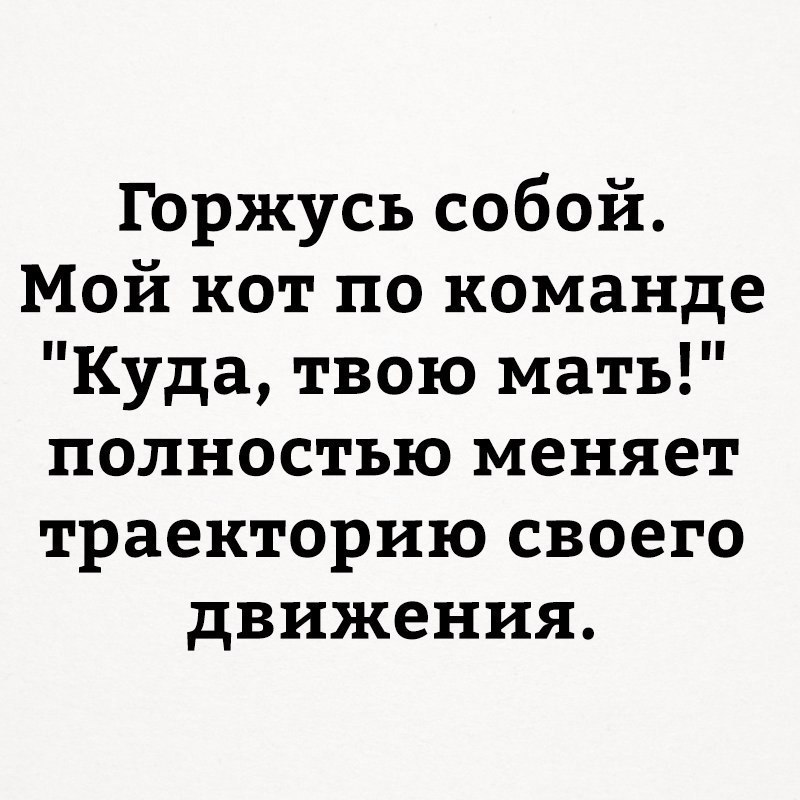 Горжусь собой Мой кот по команде Куда твою мать полностью меняет траекторию своего движения