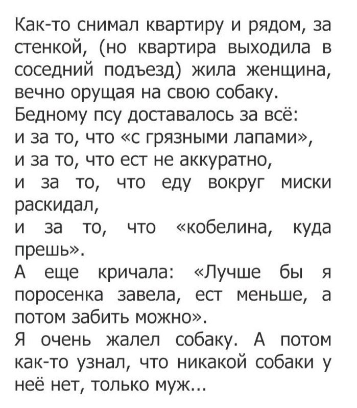 Как то снимал квартиру и рядом за стенкой но квартира выходила в соседний подъезд жила женщина вечно орущая на свою собаку Бедному псу доставалось за всё и за то что с грязными лапами и за то что ест не аккуратно и за то что еду вокруг миски раскидал и за то что кобелина куда прешь А еще кричала Лучше бы я поросенка завела есг меньше а потом забить можно Я очень жалел собаку А потом как то узнал ч