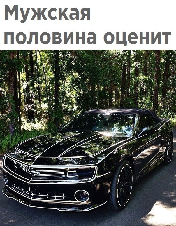т И Н е Ц 0 а Н И В 0 л 0 п