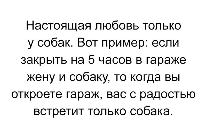 Настоящая любовь только у собак Вот пример если закрыть на 5 часов в гараже жену и собаку то когда вы откроете гараж вас с радостью встретит только собака