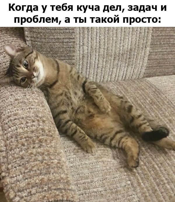 Когда у тебя куча дел задач и проблем а ты такой просто ёё