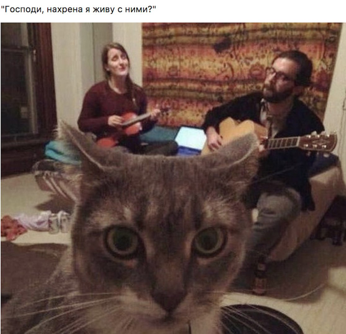 Господи нахрена я живу с ними