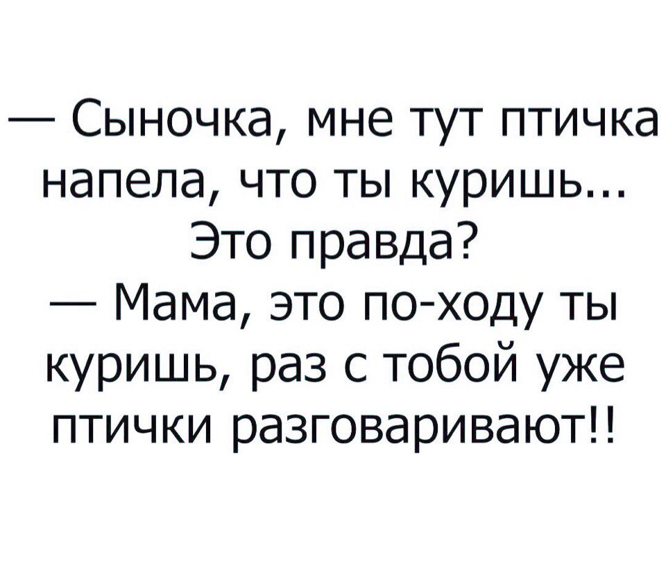Сыночка мне тут птичка напела что ты куришь Это правда Мама это по ходу ты куришь раз с тобой уже птички разговаривают