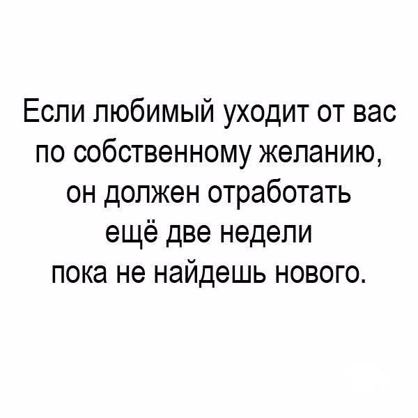 Если любимый уходит от вас по собственному желанию он должен отработать ещё две недели пока не найдешь нового