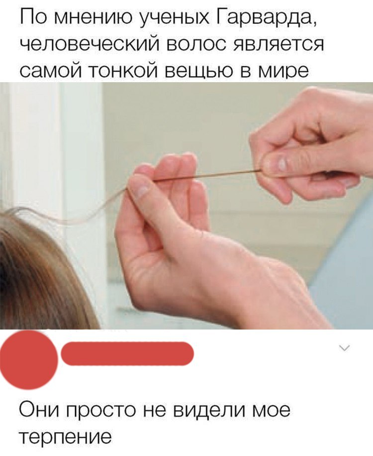 По мнению ученых Гарварда человеческийволосявляется ЮТЫВЬЮВЭ Они просто не видели мое терпение
