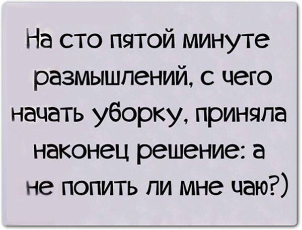 На сто пятой минуте размышлений с чего начать уборку приняла наконец решение а не попить ли мне чаю