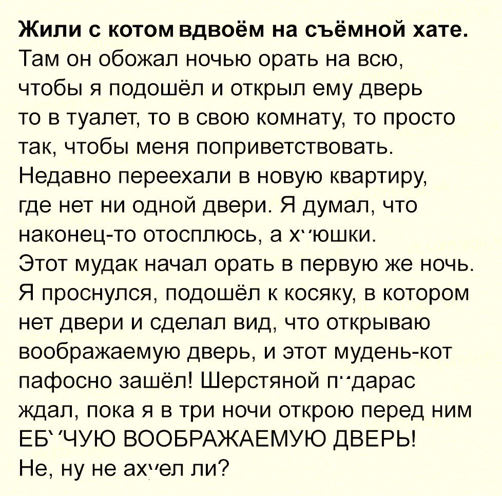 Жили с котом вдвоём на съёмной хате Там он обожал ночью орать на всю чтобы я подошёл и открыл ему дверь то в туалет то в свою комнату то просто так чтобы меня поприветствовать Недавно переехали в новую квартиру где нет ни одной двери Я думал что наконец то отосплюсь а ХЮШКИ Этот мудак начал орать в первую же ночь Я проснулся подошёл к косяку в котором нет двери и сделал вид что открываю воображаем