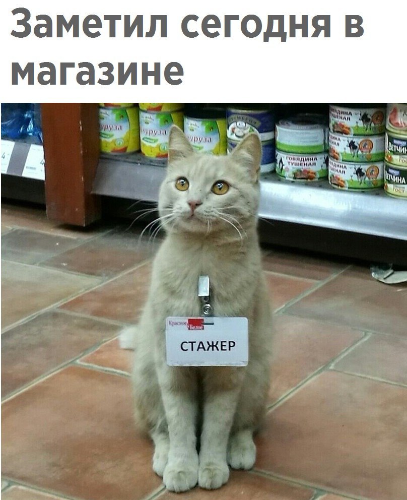 Заметил сегодня в магазине