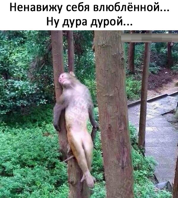 Ненавижу себя влюблённой Ну дура дурой