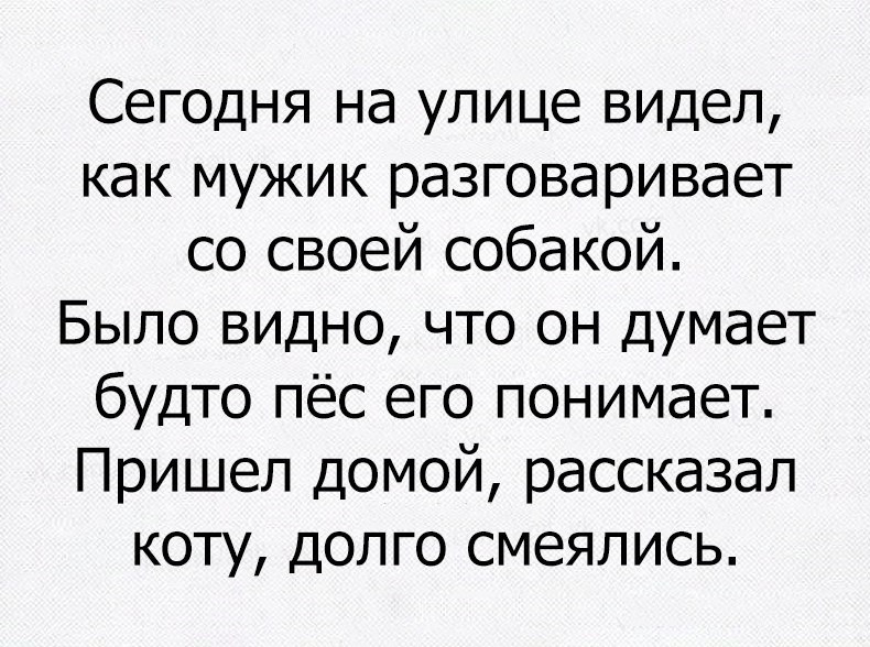 Сегодня на улице видел как мужик разговаривает со своей собакой Было видно что он думает будто пёс его понимает Пришел домой рассказал коту долго смеялись