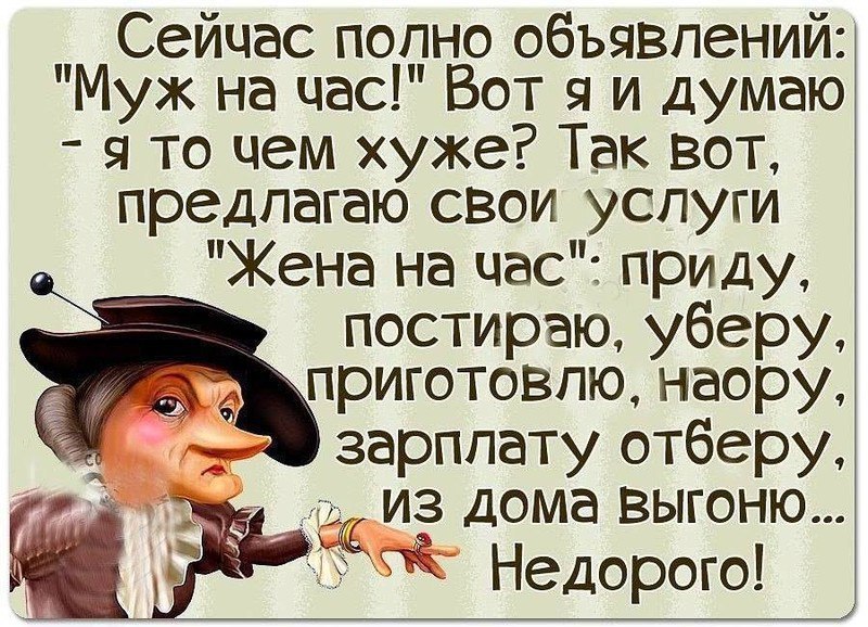 Сейчас полно объявлений Муж на час Вот я и думаю я то чем хуже Так вот предлагаю свои услуги Жена на час приду постираю уберу приготовлю наору зарплату отберу из дома выгоню Недорого