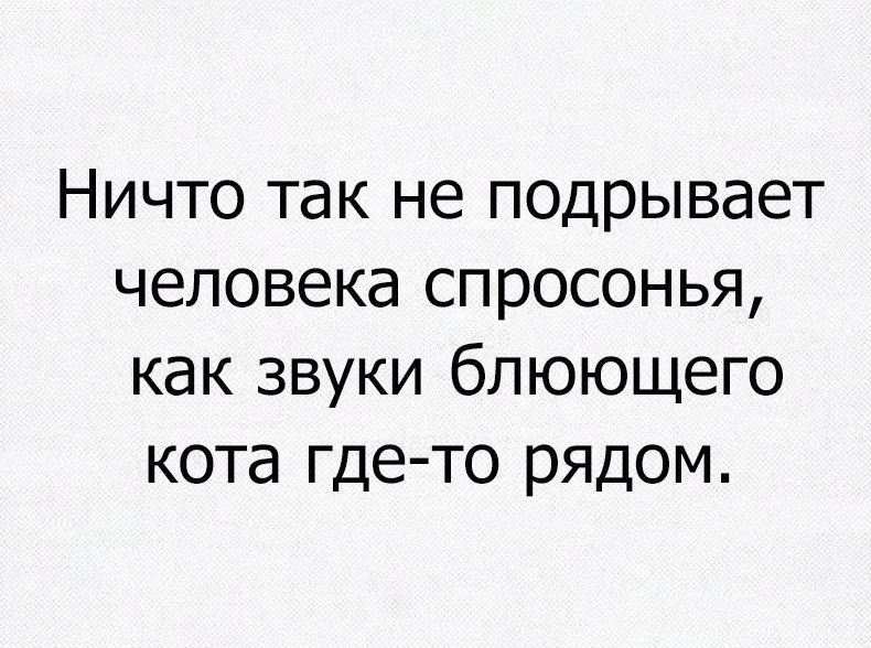 Ничто так не подрывает человека спросонья как звуки блюющего кота где то рядом