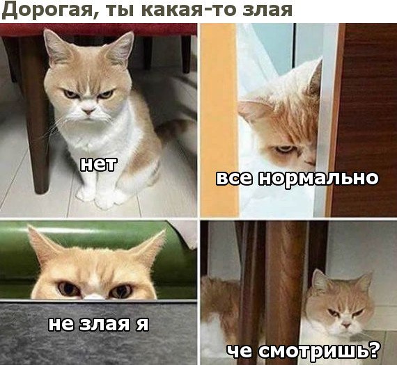 дорогая ТЫ КЗКЗЯТО ЗЛЗЯ че емотри Щ Ь