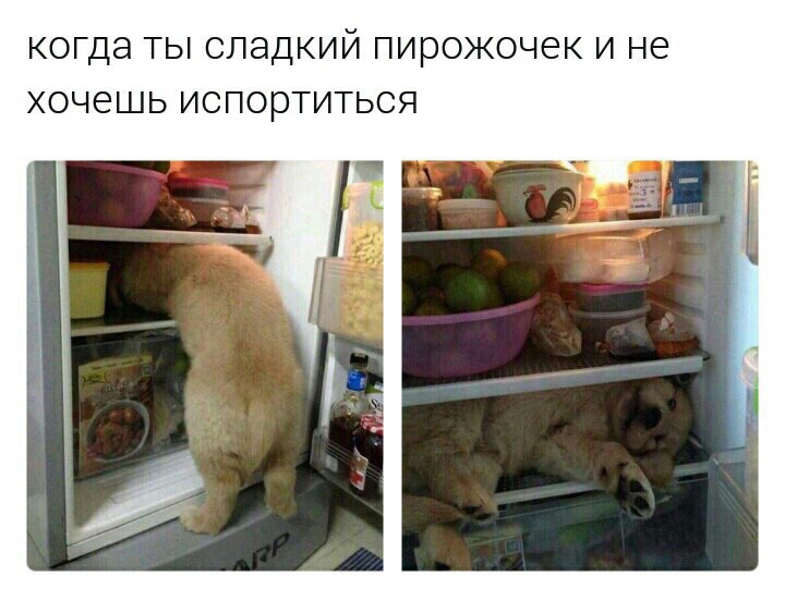 КОГДЭ ТЫ СЛЭДКИЙ ПИРОЖОЧЕК И НЕ ХОЧЕШЬ ИСПОРТИТЬСЯ