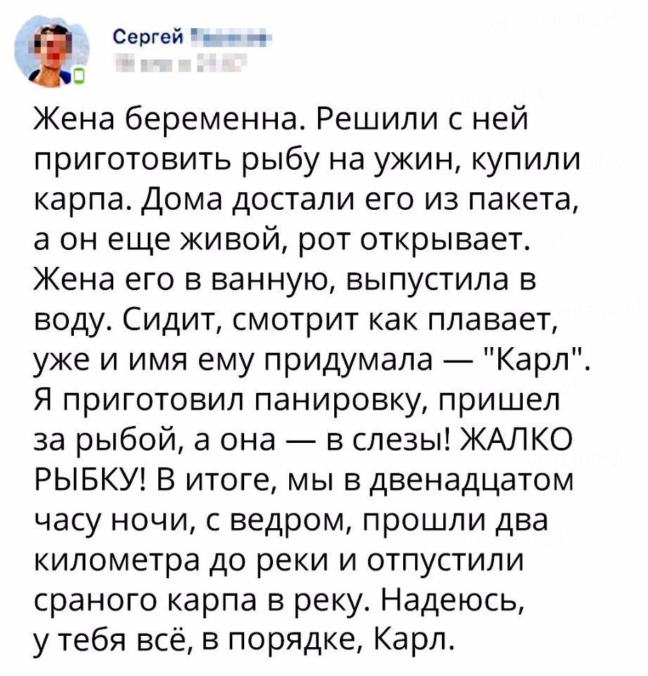 2 Сергей Жена беременна Решили с ней приготовить рыбу на ужин купили карпа Дома достали его из пакета а он еще живой рот открывает Жена его в ванную выпустила в воду Сидит смотрит как плавает уже и имя ему придумала Карл Я приготовил панировку пришел за рыбой а она в слезы ЖАЛКО РЫБКУ В итоге мы в двенадцатом часу ночи с ведром прошли два километра до реки и отпустили сраного карпа в реку Надеюсь 
