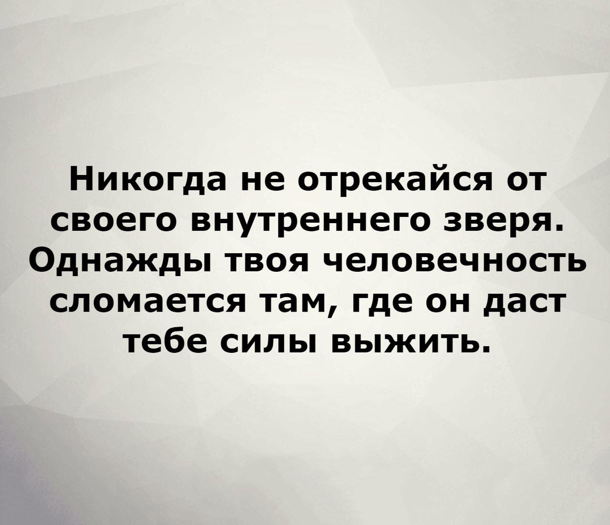 Никогда не отрекайся от своего внутреннего зверя Однажды твоя человечность сломается там где он даст тебе силы выжить