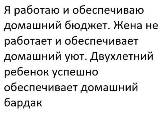 Я работаю и обеспечиваю домашний бюджет Жена не работает и обеспечивает домашний уют Двухлетний ребенок успешно обеспечивает домашний бардак