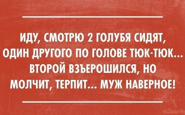 ИДУ СМОТРЮ 2 ГОЛУБЯ СИДЯТ ОДИН дРУГОГО ПО ГОЛОВЕ ТЮК ТЮК ВТОРОЙ ВЗЪЕРОШИЛСЯ НО МОЛЧИТ ТЕРПИТ МУЖ НАВЕРНОЕ