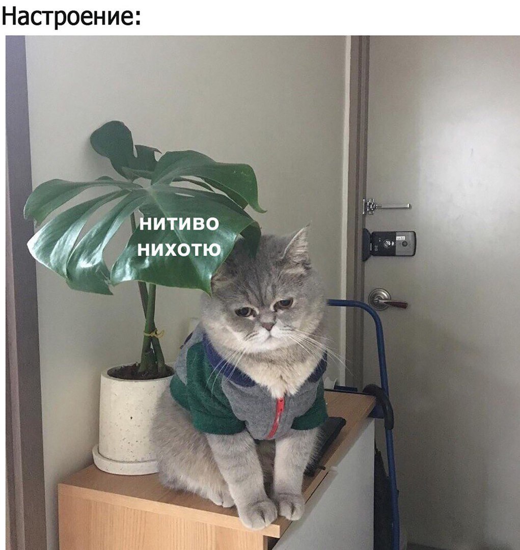 Настроение НИТИВО 4 НИХОТКЁ
