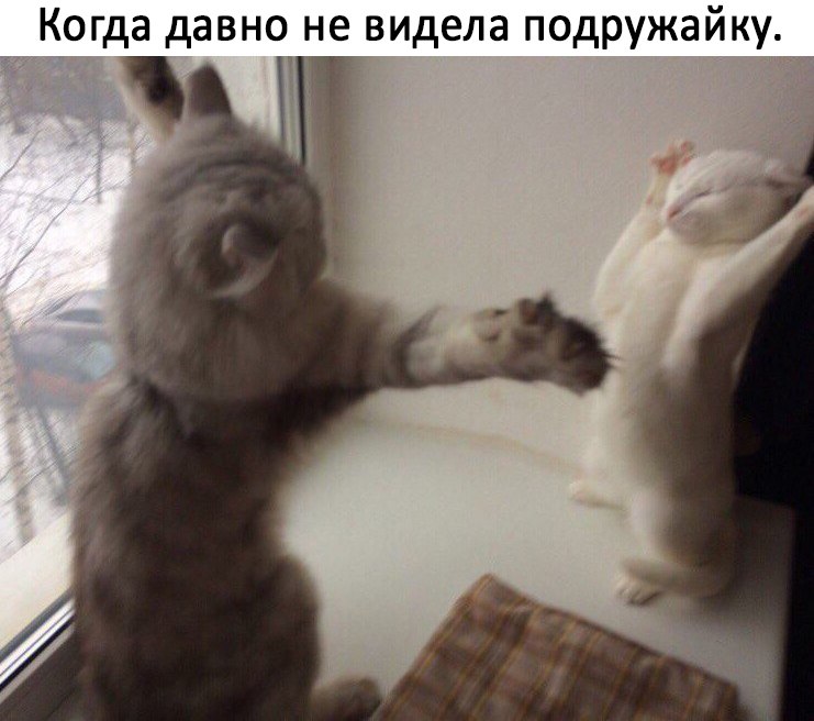 Когда давно не видела подружайку