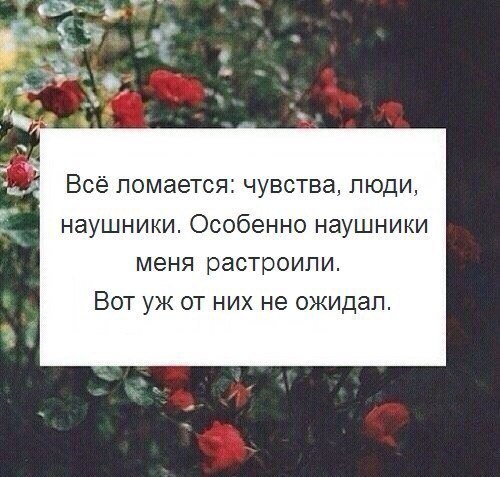 Всё ломается чувства люди наушники Особенно наушники меня растроипи Вот уж от них не ожидал