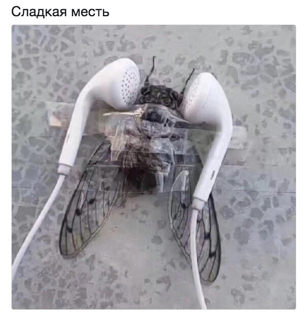 Сладкая месть