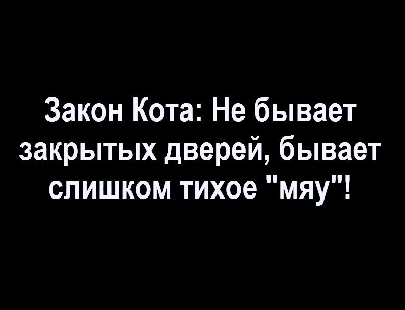Закон Кота Не бывает закрытых дверей бывает слишком тихое мяу