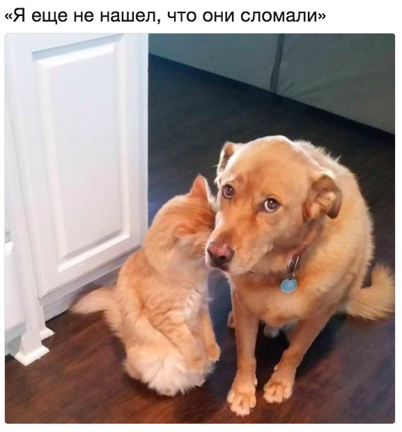 Я еще не нашел что они сломали