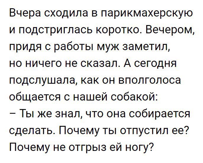 Вчера сходила в парикмахерскую и подстриглась коротко Вечером придя с работы муж заметил но ничего не сказал А сегодня подслушала как он вполголоса общается с нашей собакой Ты же знал что она собирается сделать Почему ты отпустил ее Почему не отгрыз ей ногу