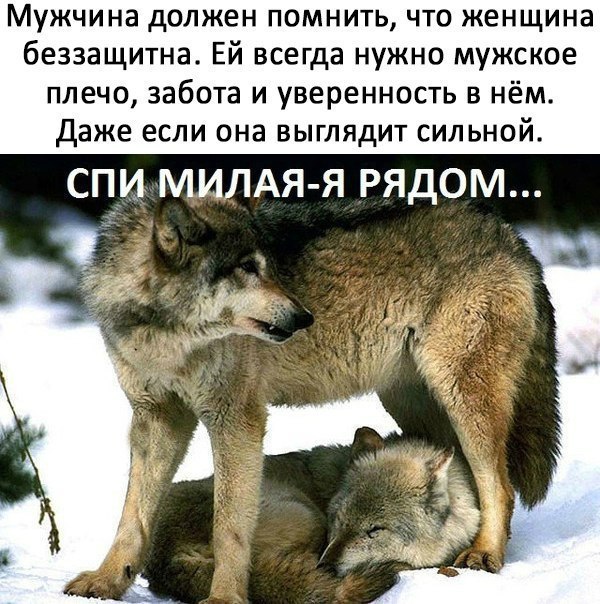 мужчина должен ПОМНИТЬ ЧТО женщина беззащитна Ей всегда нужно мужское плечо забота и уверенность в нём Даже если она выглядит сильной спи МИЛАЯ Я рядом