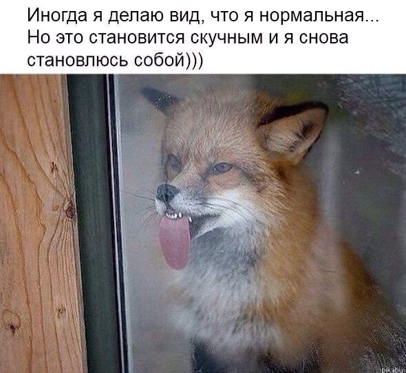 Иногда я делаю вид что я нормальная Но это становится скучным и я снова становлюсь собой