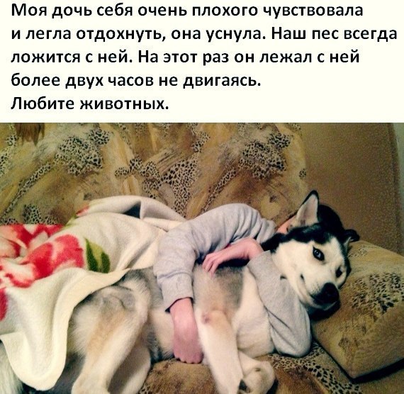 МОЯ дОЧЬ себя очень ПЛОХОГО чувствовала И легла ОТДОХНУТЬ она уснула Наш ПеС всегда ЛОЖИТСЯ С ней На ЭТОТ раз ОН лежал С ней более дВуХ часов не двигаясь Любите ЖИВОТНЫХ