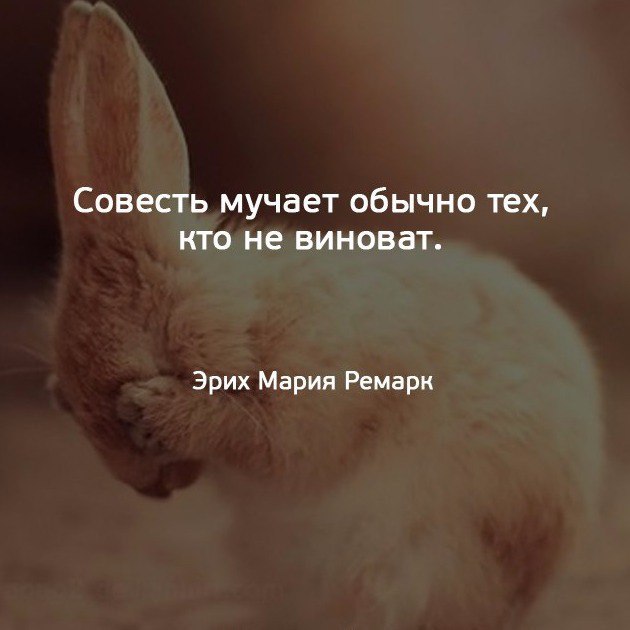 Совесть мучает обычно тех кто не виноват Эрих Мария Ремарк
