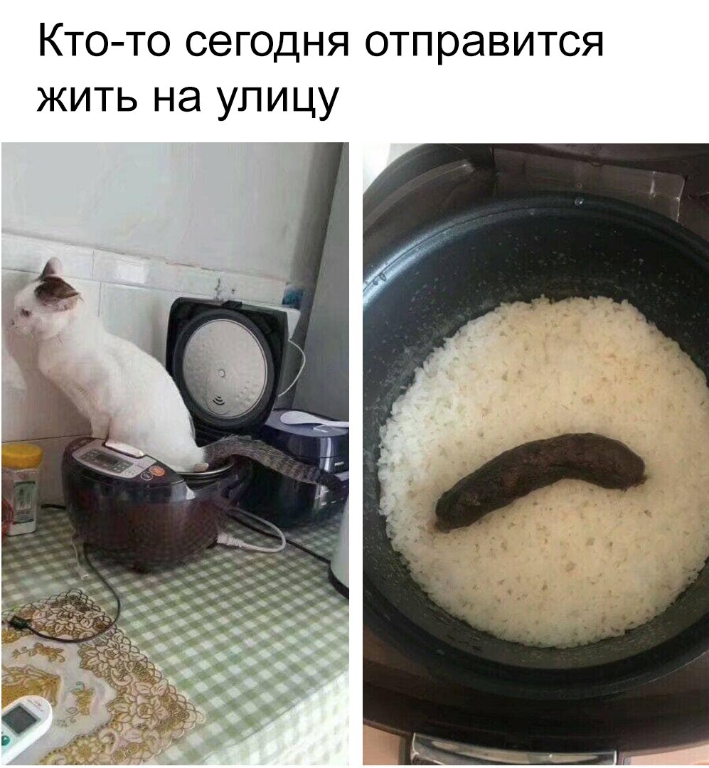 Кто то сегодня отправится жить на улицу
