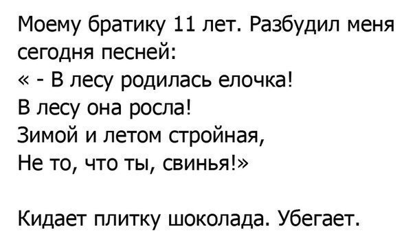 Моему братику 11 лет Разбудил меня сегодня песней В лесу родилась елочка В лесу она роста Зимой и летом стройная Не то что ты свинья Кидает плитку шоколада Убегает