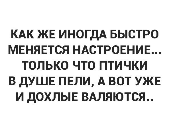 КАК ЖЕ ИНОГДА БЫСТРО МЕНЯЕТСЯ НАСТРОЕНИЕ ТОЛЬКО ЧТО ПТИЧКИ В ДУШЕ ПЕЛИ А ВОТ УЖЕ И ДОХЛЫЕ ВАЛЯЮТСЯ