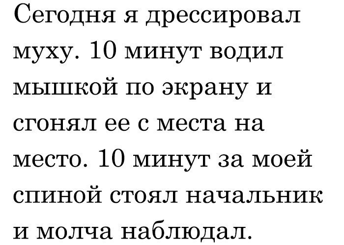 Сегодня я дрессировал муху 10 минут водил мышкой по экрану И сгонял ее с места на место 10 минут за моей спиной стоял начальник И молча наблюдал
